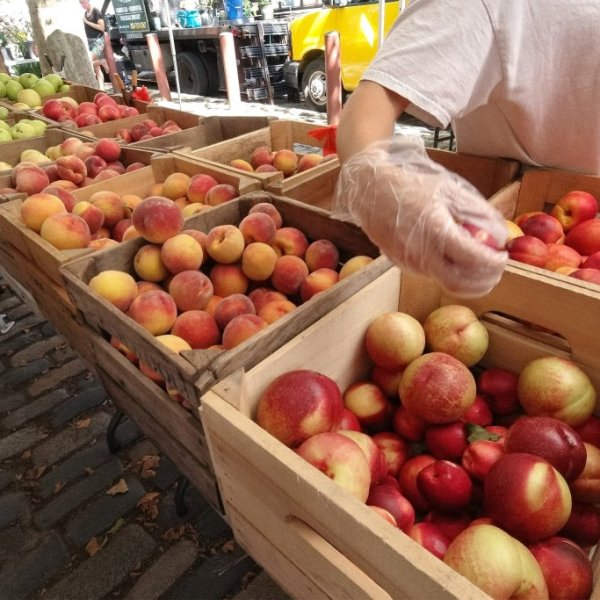 Explore the Benefits of Community Supported Agriculture in Philadelphia